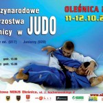 Judo PLAKAT 2014 a2