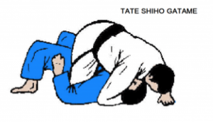 TATE SHIHO GATAME