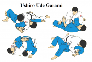 USHIRO-UDE-GARAMI